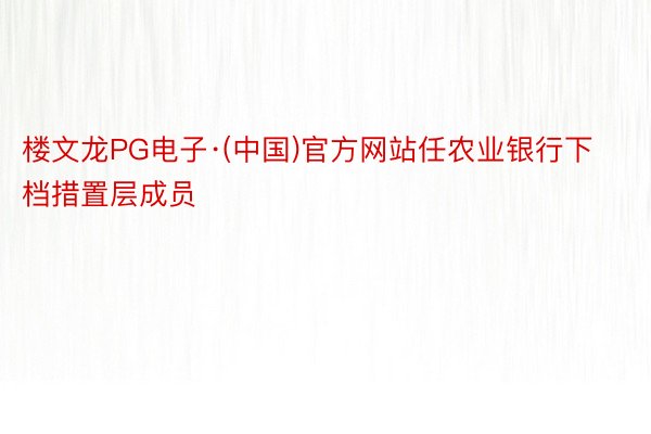 楼文龙PG电子·(中国)官方网站任农业银行下档措置层成员