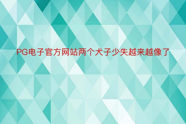 PG电子官方网站两个犬子少失越来越像了